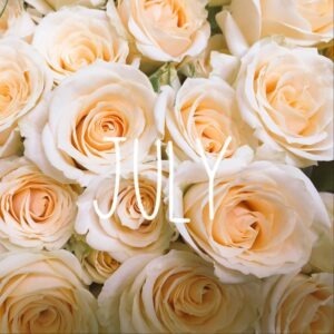 July's Seasonal Flowers