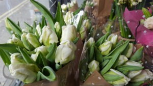 January seasonal flowers