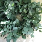 Eucalyptus Wreath (5)