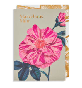 Marvellous Mum Greetings Card