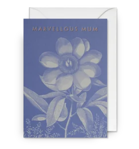 Marvellous Mum Mothers Day Card
