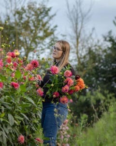 Florist picking dahlias from a flower farm
