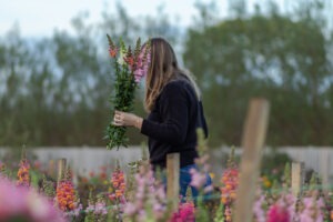 Ella on the flower farm cutting flowers