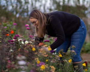 Flower farm