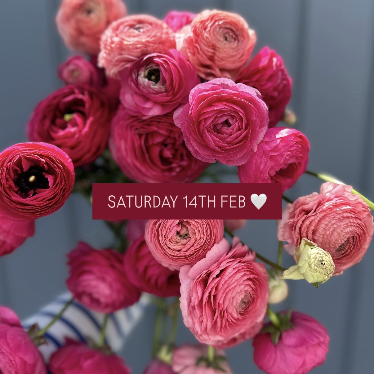 Valentines florist in Bath