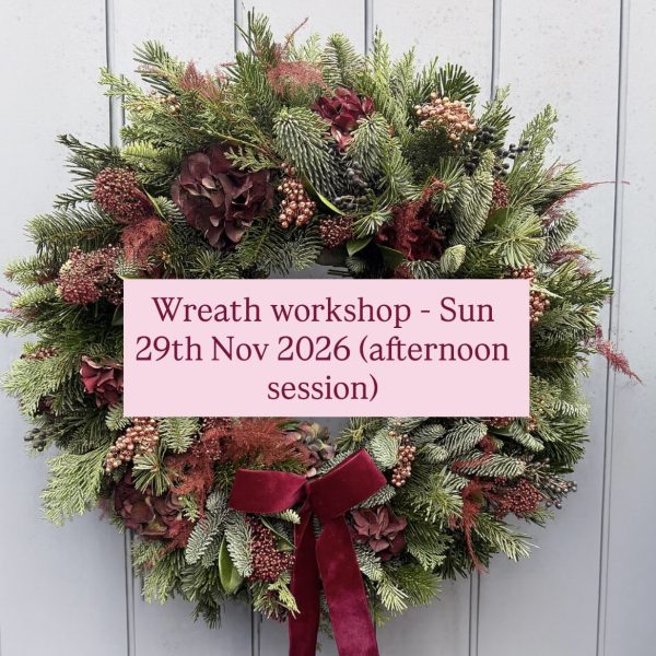 Sunday 29th November workshop in Bath