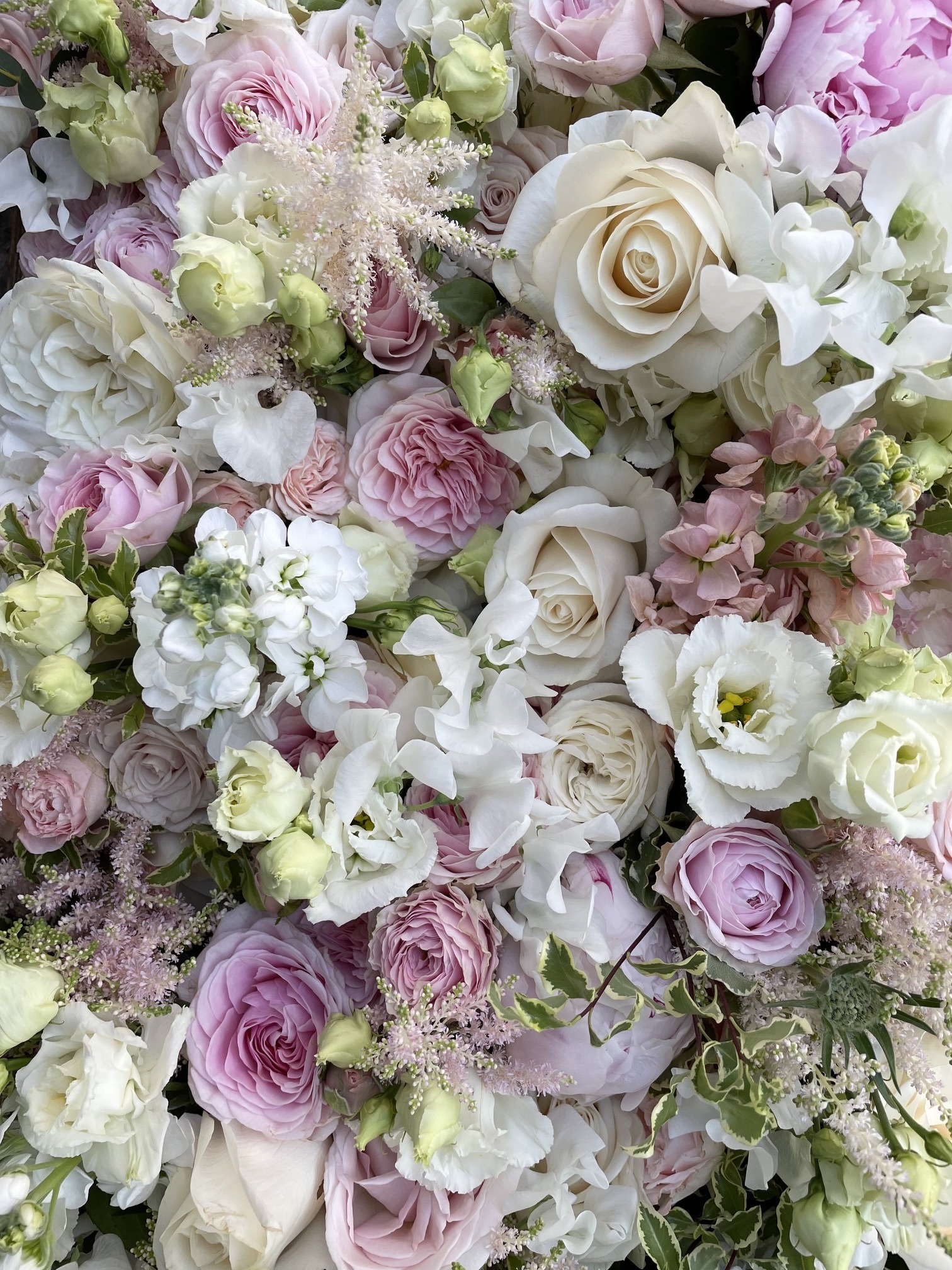 Peony and floral backdrop